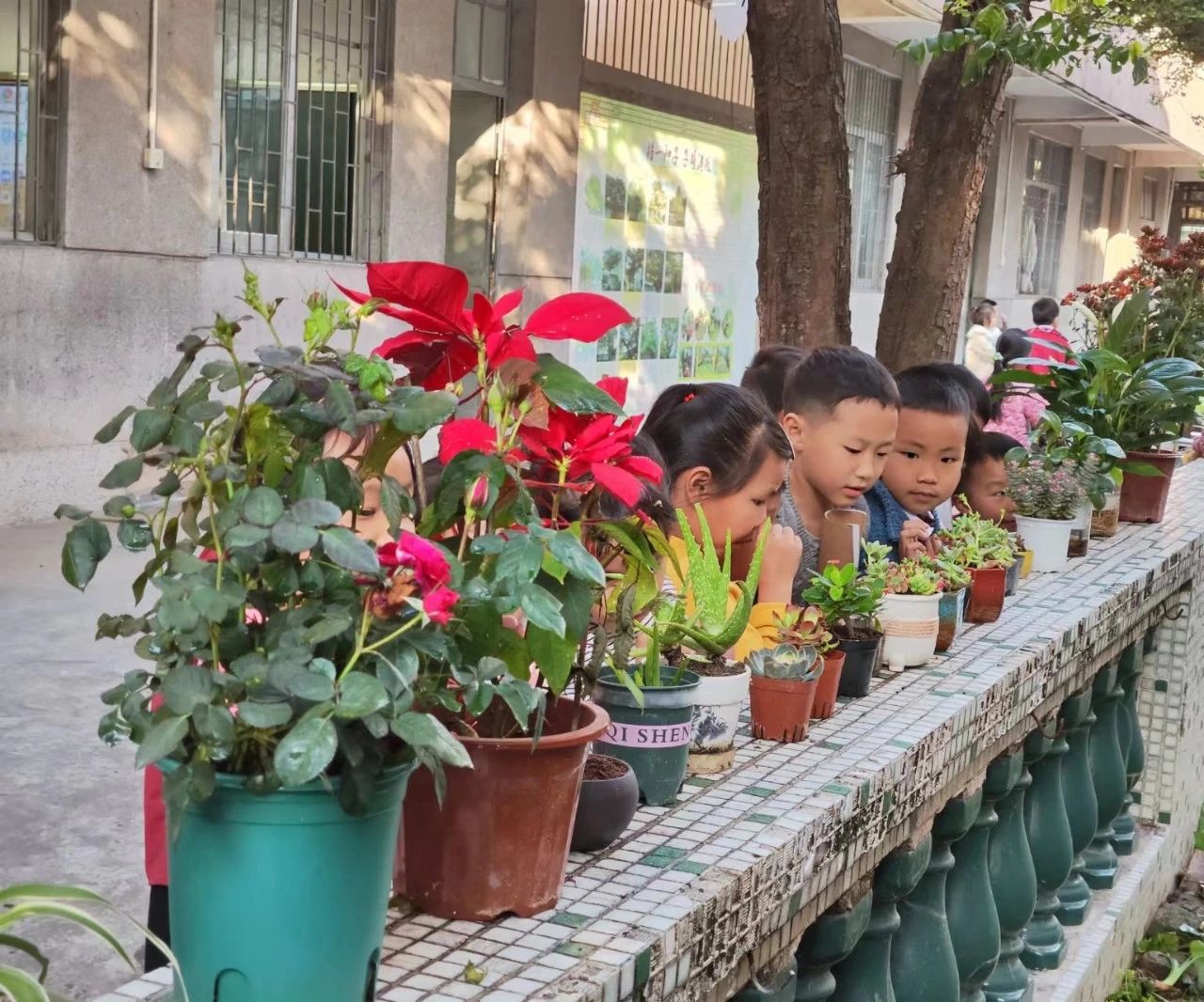 “植”此青绿 悦享自然——中山市恒美学校开展植树节活动
