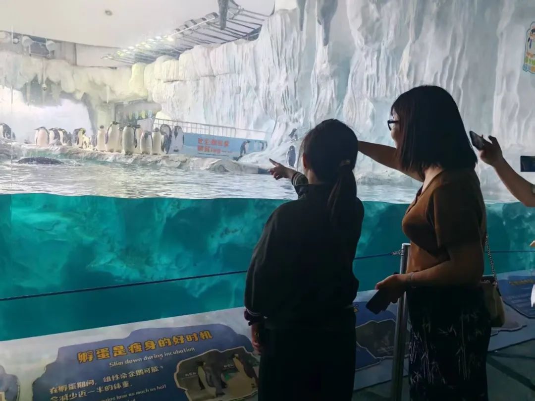 微信图片_20250508154957.jpg
